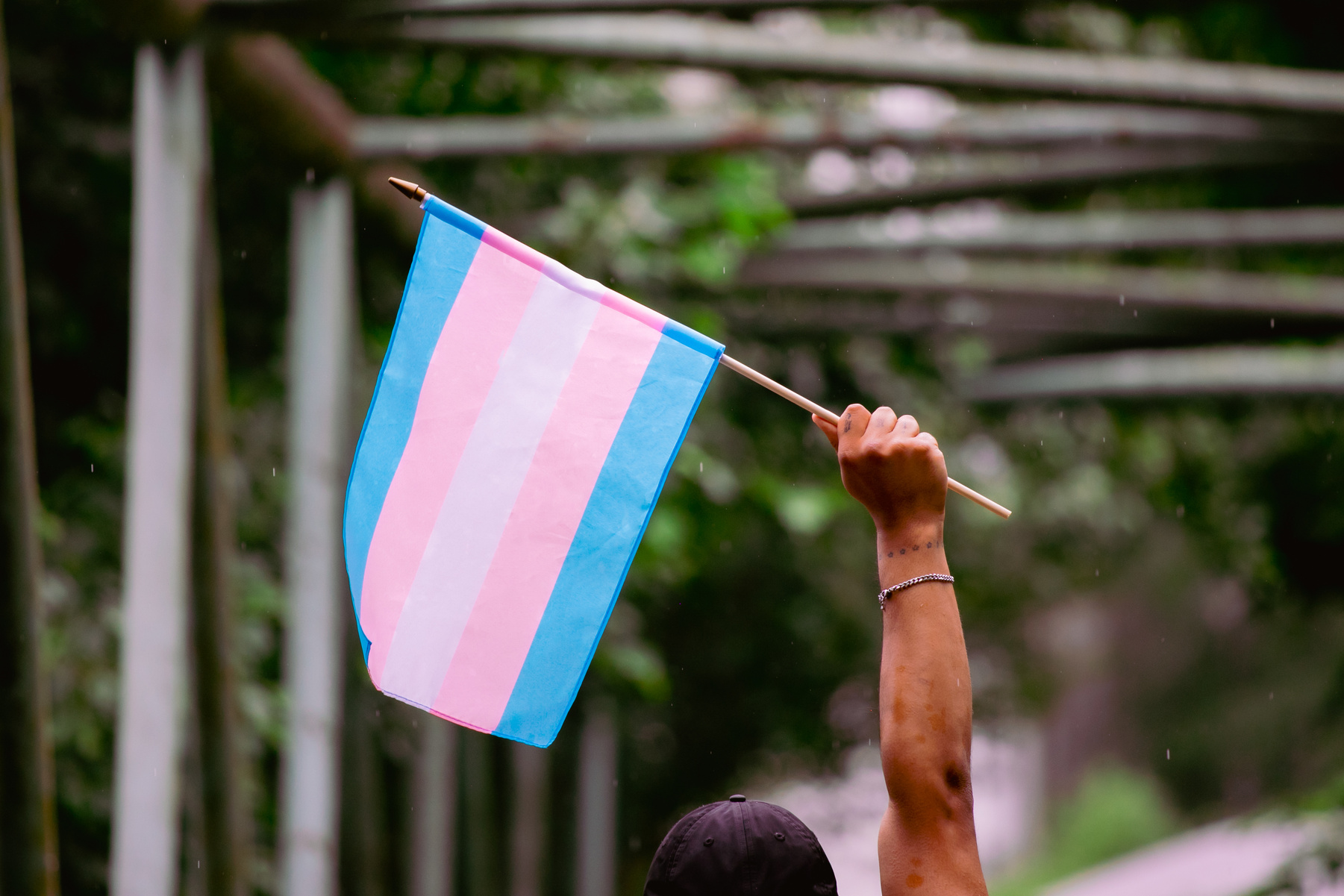 Person Holding a Small Transgender Flag